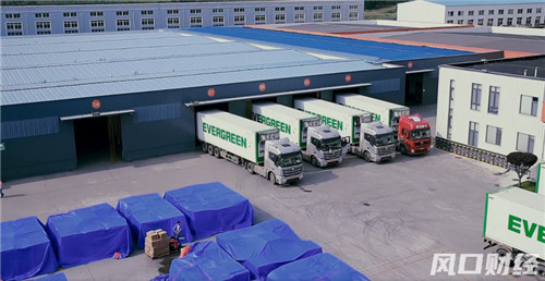 進出口總值貢獻66.6%，青島民企憑什么？