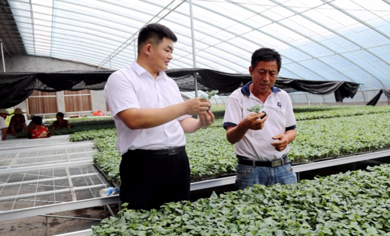 山東蘭陵縣：893名退役軍人占領鄉村振興人才高地