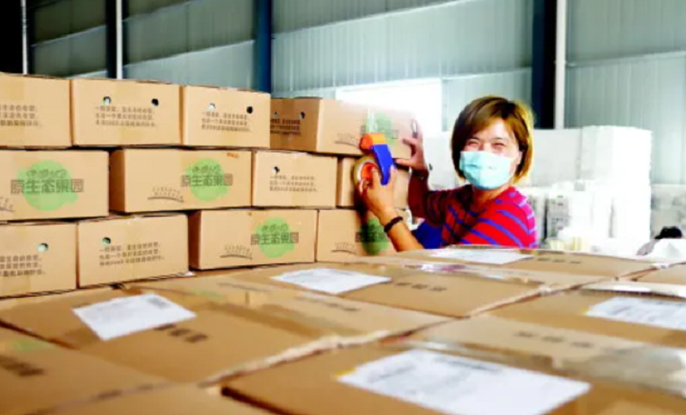 濟寧魚臺縣暢通農民致富路 “流量經濟”賦能鄉村振興