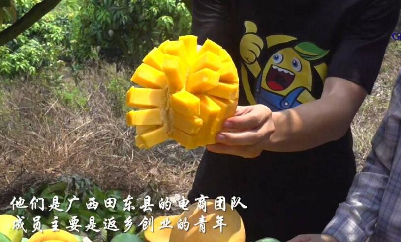 電商直播助力“中國芒果之鄉”產業發展