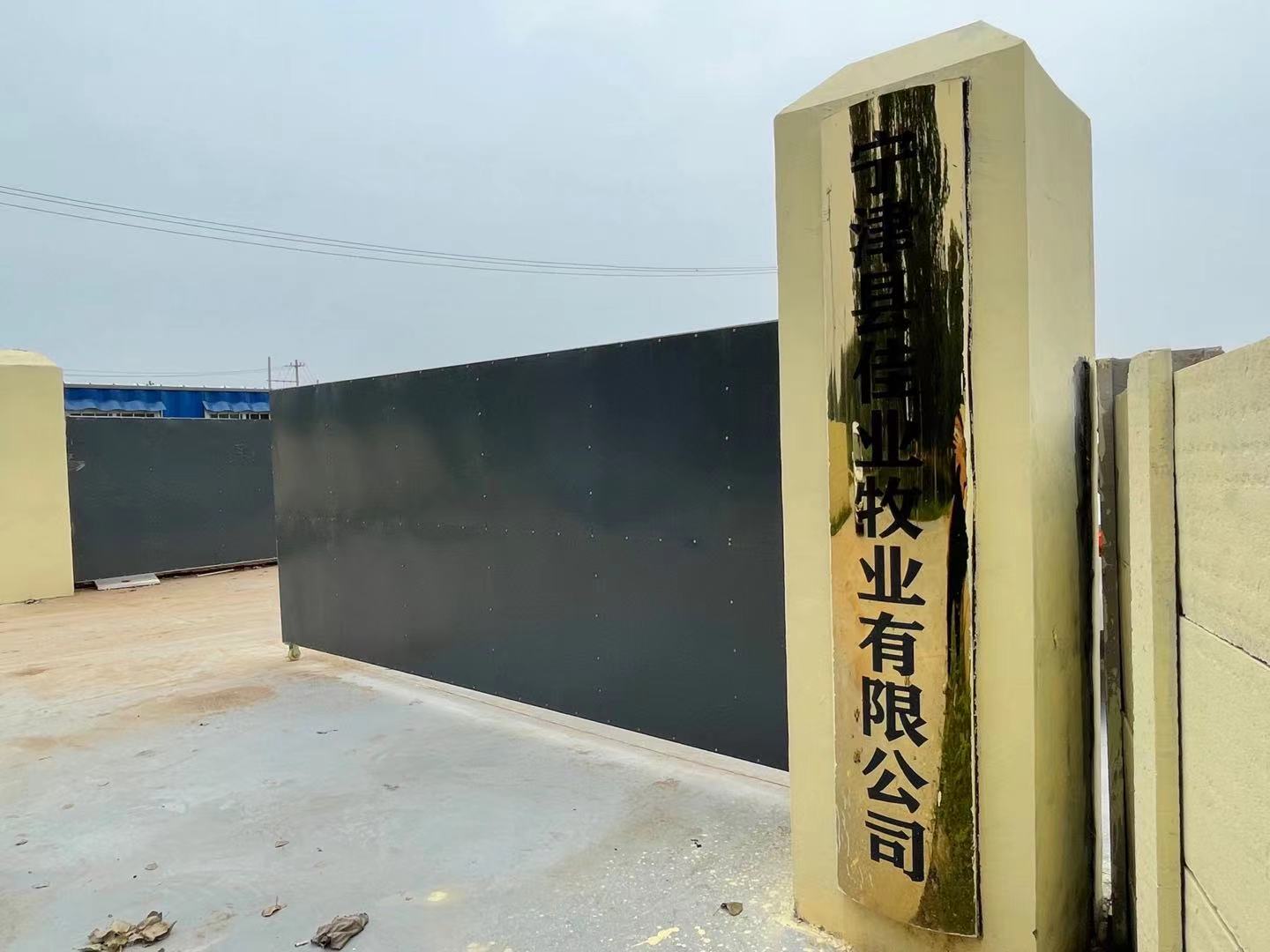 蓋好豬舍等“金豬”合同遲遲不履行 上市公司真“差錢”？