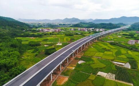 粵西協同發展進入實質性階段