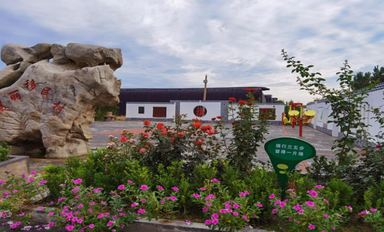 移民村的新變化——蘭陵縣水利局鄉村振興服務隊派駐隊員工作記實