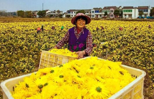 縣鄉村聯動 加強縣域商業體系建設