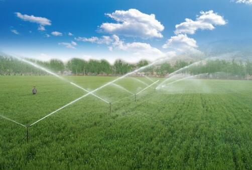 水利部 國家發展改革委正式印發實施“十四五”重大農業節水供水工程實施方案