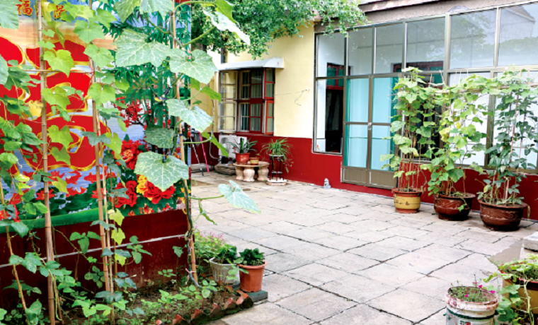 【美麗庭院】濟寧任城：家庭“小美”匯成鄉村多彩“大美”畫卷