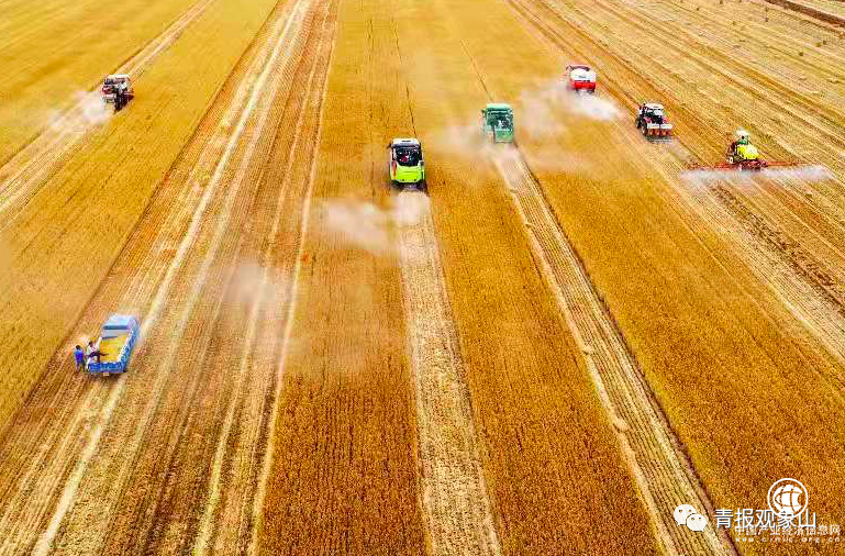 促進共同富裕！這次全體會議頂格部署，加快建設鄉村振興齊魯樣板先行區！