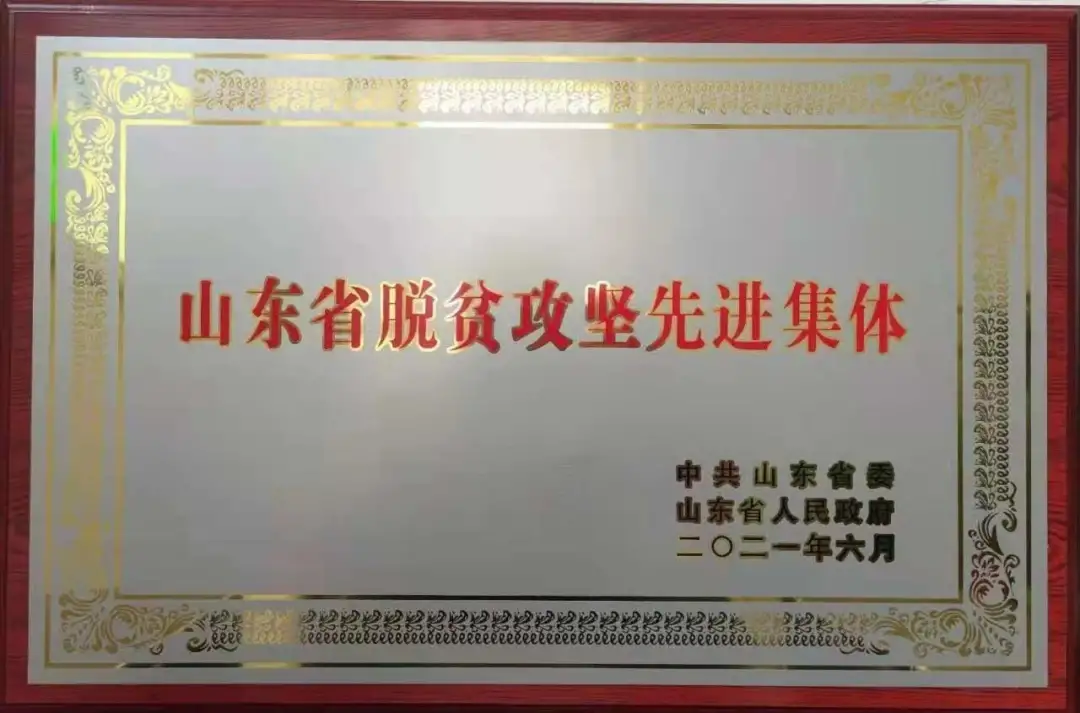 如你所見，當前大柳朝氣蓬勃，活力無限