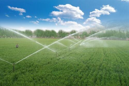 農業節水潛力有多大？面臨哪些困難？