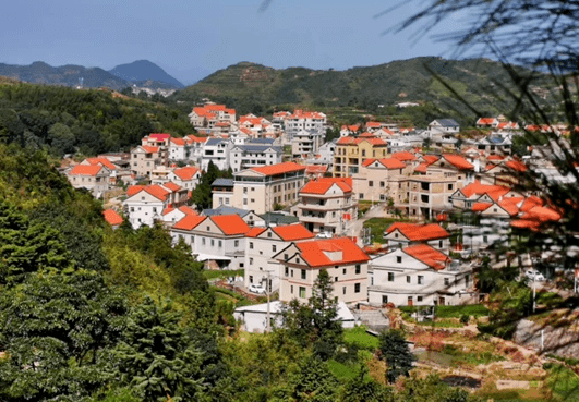 “鄉村旅游+”激活振興新動力