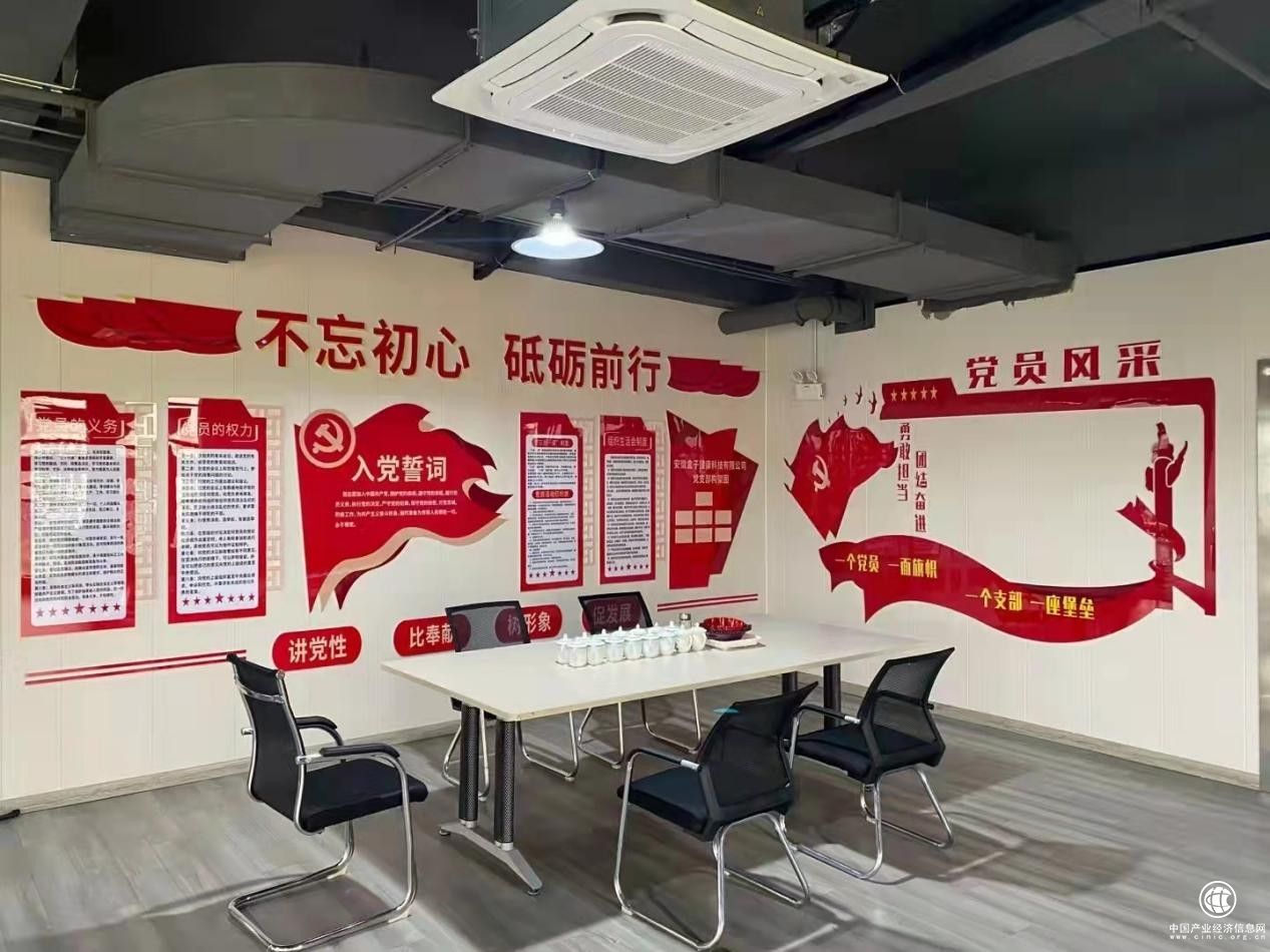 不忘初心，砥礪前行：安徽盒子健康科技有限公司黨支部正式成立
