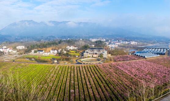 鄉村蝶變 湖北羅田打造鄉村振興新樣板