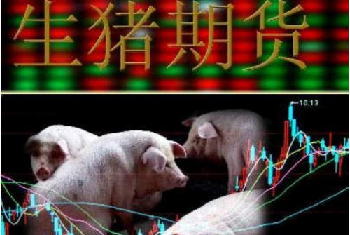 養豬業持續虧損 生豬期貨如何“兜底”