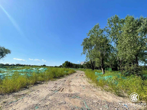 拆除后的七棵樹高爾夫球場