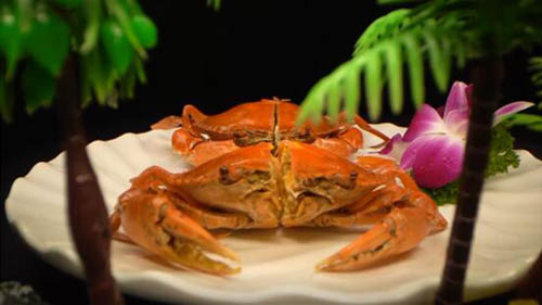 央視《味道》地方風味篇即將開播 講述傳統美食的地域之美