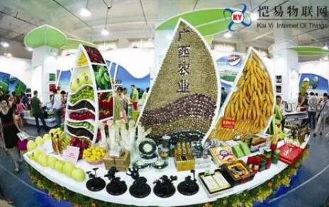 廣西與東盟農業合作釋放巨大潛力
