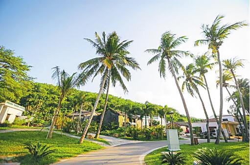 海南7部門發文——金融支持全面推進鄉村振興