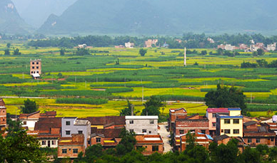 鄉村旅游迎遠客 特色產業助力中國農民增收