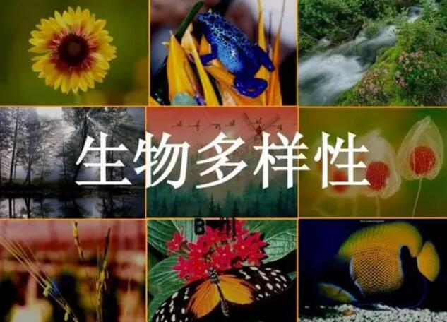 我國積極推動全球生物多樣性治理進程