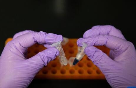 重大突破！我國科學家首次實現用二氧化碳人工合成淀粉