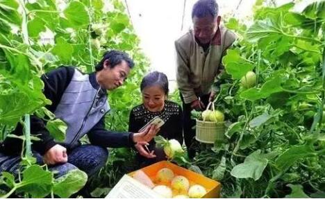 消費品零售額增速連續8年快于城鎮 鄉村消費勢頭好勁頭足