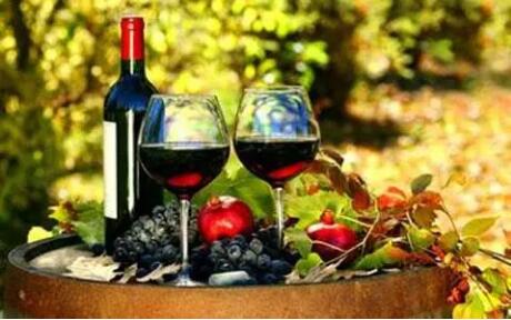 寧夏葡萄酒產業快速發展助農民增收