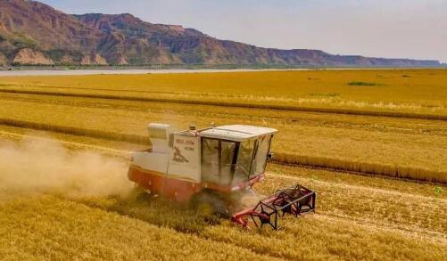 河南省秋作物已收獲9354萬畝，進度接近八成