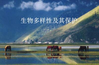 中國在生物多樣性保護國際合作中發揮重要作用