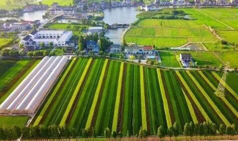 長三角生態綠色一體化示范區發布跨省域規劃建設導則