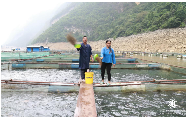 中和農信 ：扎根邊疆助振興，普惠金融促共富