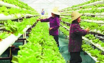 吉林：“綠色銀行”讓農民實現四季創收