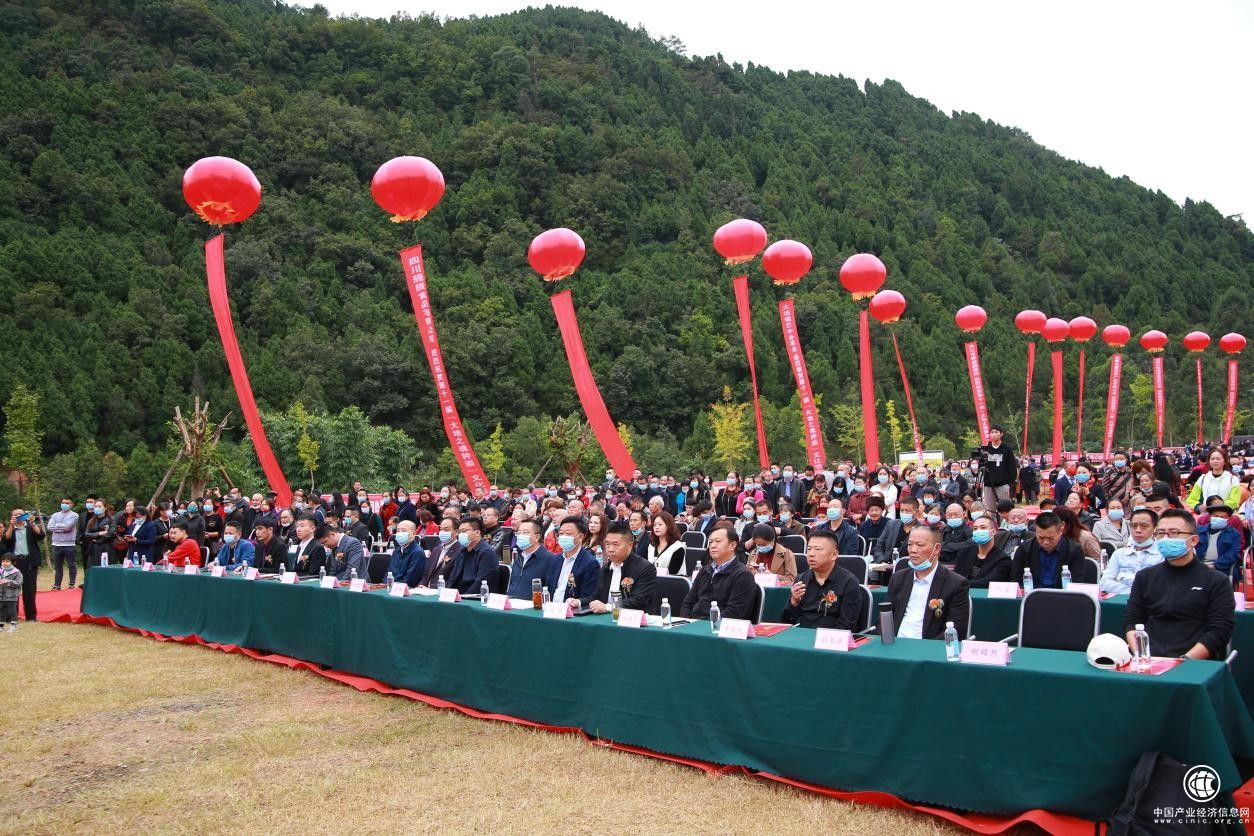 種酒傳家風，世代行孝善——第十一屆“大地之魂種酒”文化節圓滿落幕