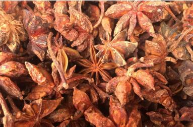 廣西玉林打造輻射東盟的香料產業集群