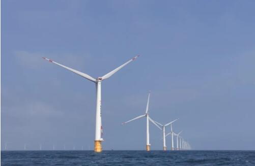 20211116210405310.jpg 3.jpg