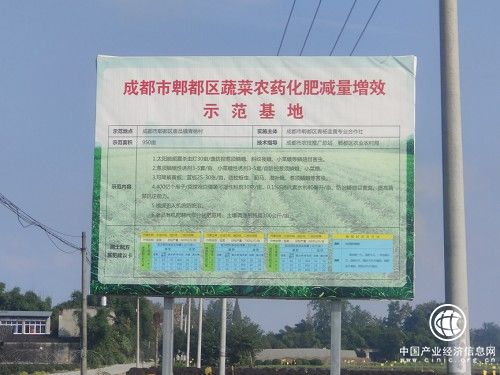 青楊韭黃：發展生態品牌農業，激發鄉村振興內在動力