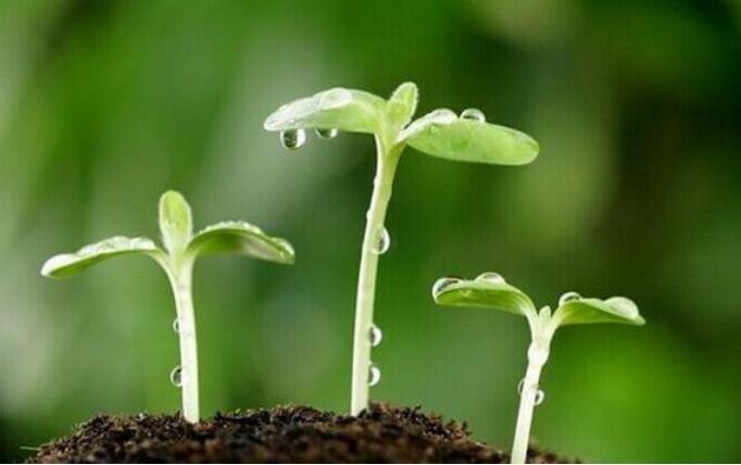 農業農村部：種質資源保護取得階段性進展