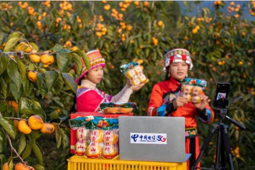 20211205191746487.jpg 20211205191746487.jpg