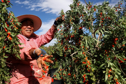 20211206170825132.png 2.png