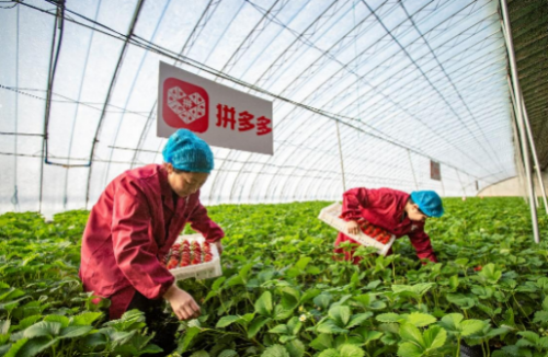 20211206170925543.png 5.png