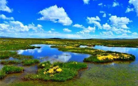 《青海省“十四五”生態環境保護規劃》正式印發