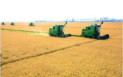 甘肅省糧食總產量再次保持1200萬噸以上