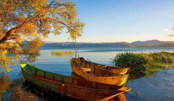 走出特色產業助推鄉村振興的“云南路徑”