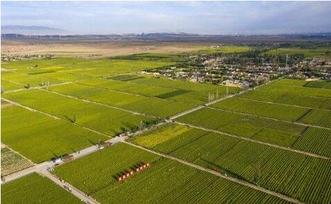 寧夏著力打造國家現代高效節水農業示范區