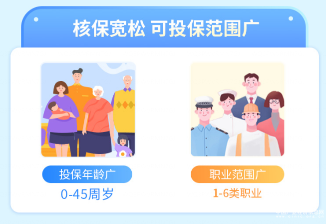  利多多增額終身壽險以實力廣受好評，滿足多樣化保險需求