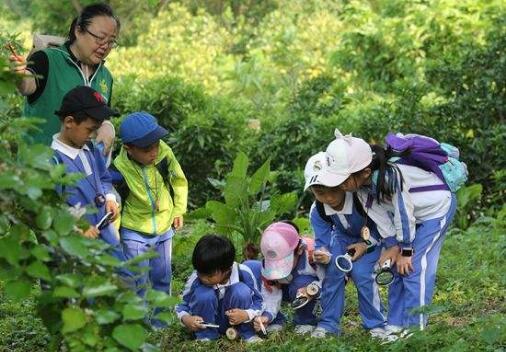 全國首個省級自然教育規劃正式印發