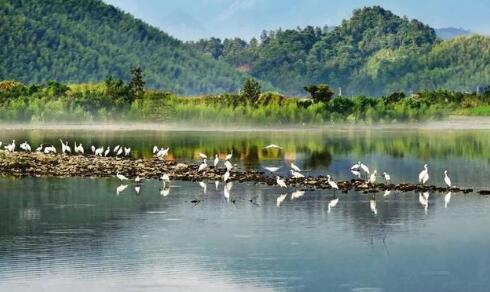 生態環境部有關負責同志就《河湖生態緩沖帶保護修復技術指南》答記者問