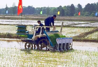 農業農村部：到2025年水稻種植機械化率達到65%