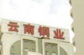 云南銅業“七個一”助推鄉村振興落地見效