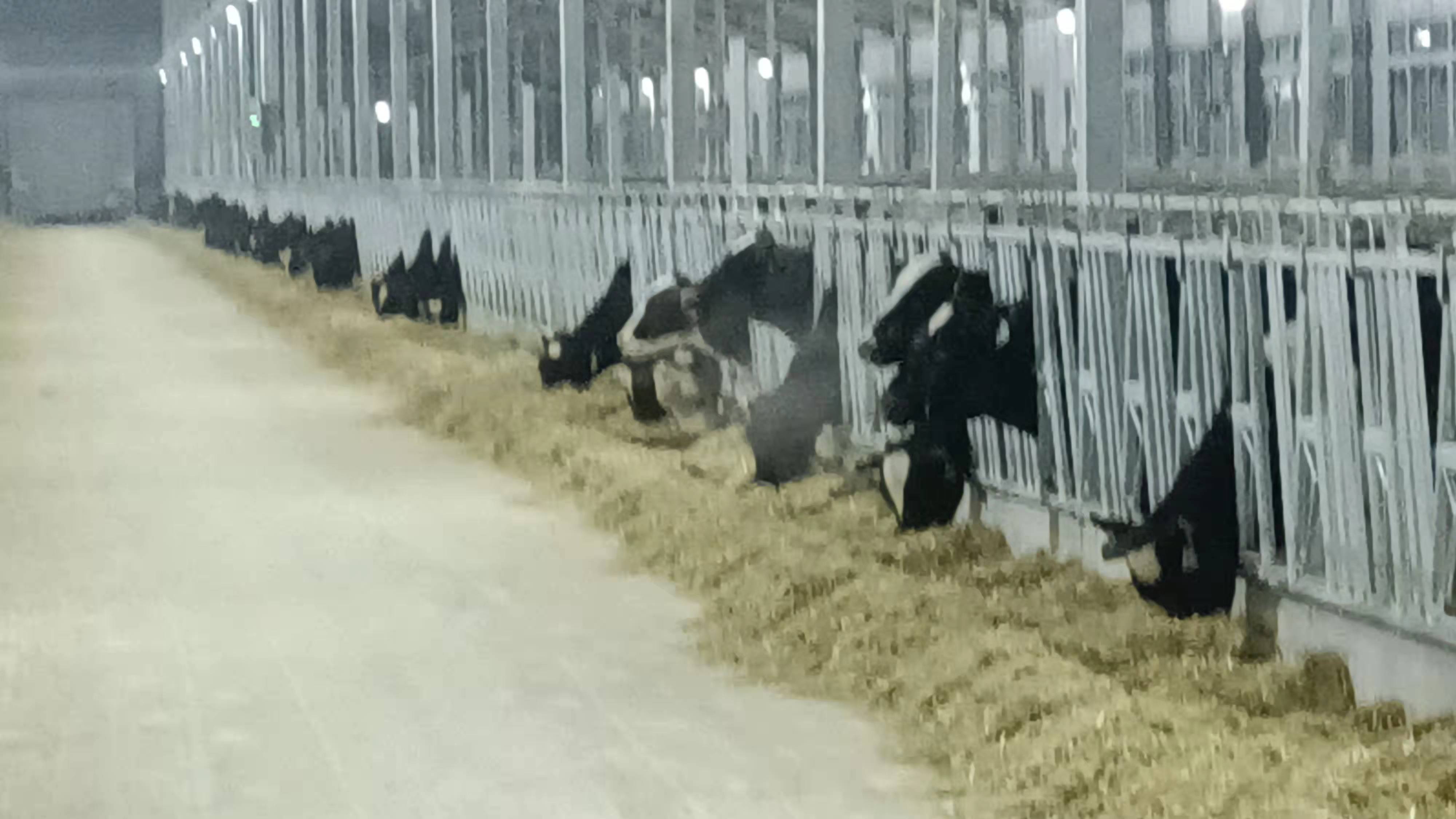 20220111142453703.jpg 20220111142453703.jpg