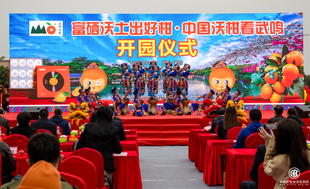  富硒沃土出好柑，中國沃柑看武鳴——2022年武鳴沃柑開園系列活動在武鳴區成功舉辦
